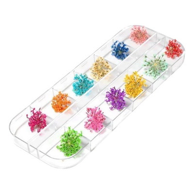 Flores Naturaleza Muerta Encapsular Deco Nails